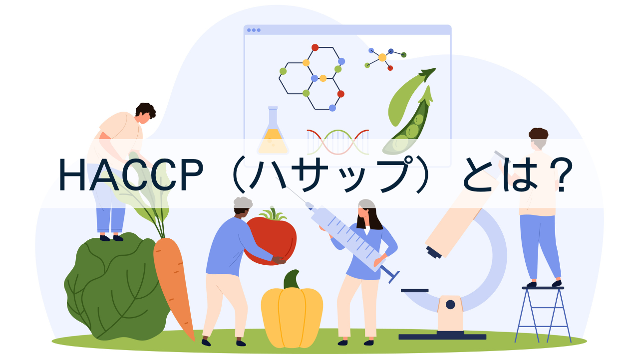 HACCP（ハサップ）とは？